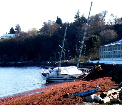 Sailboat Beached in Port Angeles